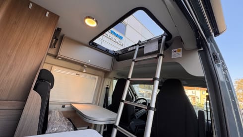 Buzzie – Brand new 4 person bus camper Carado 