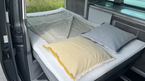 4p Volkswagen campervan uit 2024