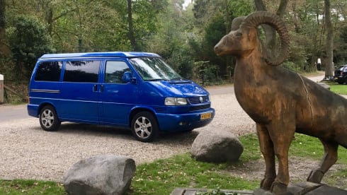 The Blue Diamond – Volkswagen T4 | BlueDiamond | Powerhouse 2.5TDI - 115HP 2 to 4 people