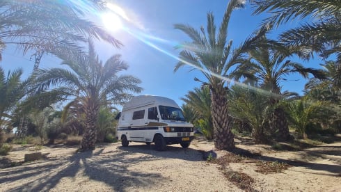 Mille  – Mille in Sweden tough oldtimer Mercedes Marco Polo