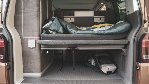 ROSIE – VolkswagenCalifornia 2022