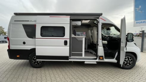 Splinternieuwe (2024) Livingstone - automaat - Ready to Camp