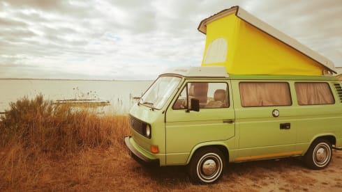 Kermit – Combi VW T25 T3 4/5 Pers Van Aménagement Westfalia Joker - 2l Aircooled flat4