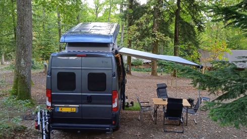 #BusBoaz – 4p Hymer bus from 2021