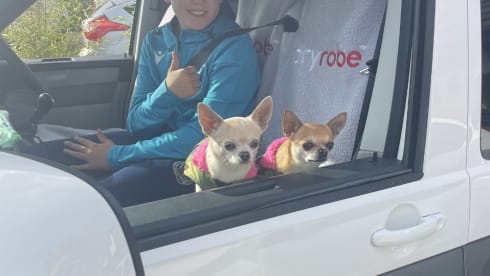 PERCY – Volkswagen Wohnmobil mit 4 Schlafplätzen aus dem Jahr 2017