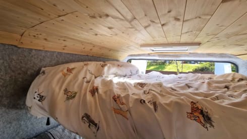 Autobus Fiat a 4 posti letto del 2015