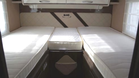 MC4 873 – McLouis Yearling 83