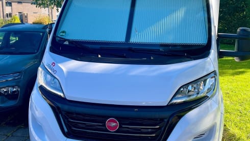 Zefiro select TL265 – 5p Roller Team semi-integrated uit 2023
