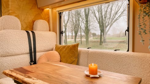 Miss Honey –  The most stylish family camper is looking for warm adventurers!