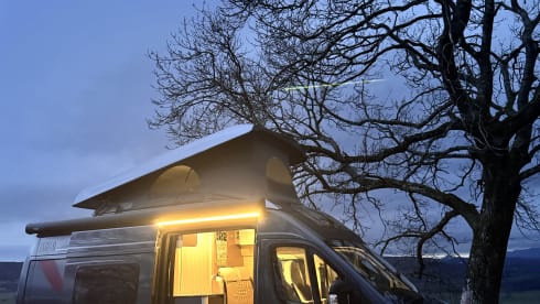 Buster – 4 Berth Bürstner Eliseo from 2023