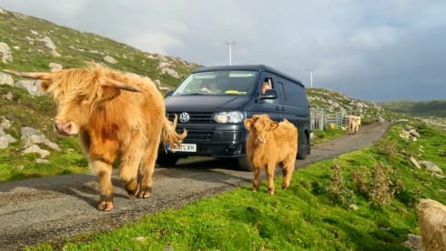 Monika – Vw family T5 -  LWB campervan sleeps 4 