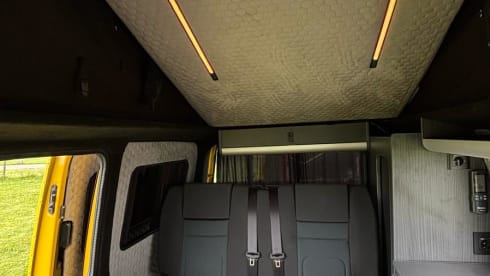 Vantastic 501 – Vantastic 501 4p Volkswagen campervan from 2014