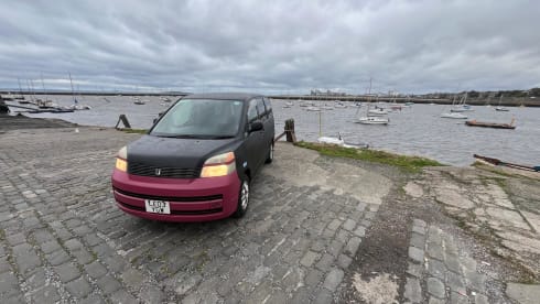 Mira – super cosy  - automatic campervan. price  includes insurance !