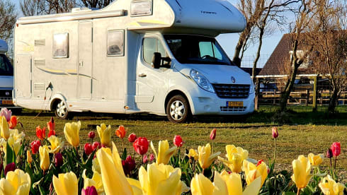 Rimor Katamarano 9 | Alcove | 2013 | 7 places | 3 bunk bed