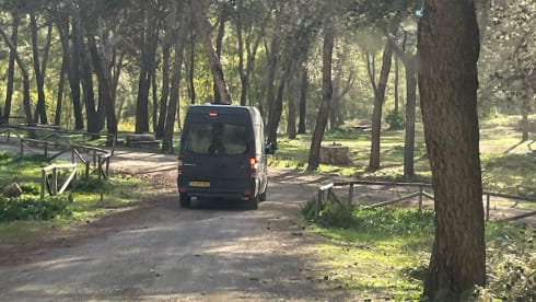 Henry – 2p Mercedes-Benz bus from 2007