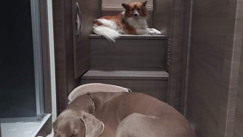 McOscar – Giulia's motorhome NEW and spacious 