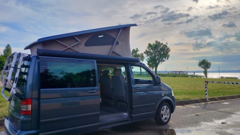 Gilbert – Avventure con Gilbert