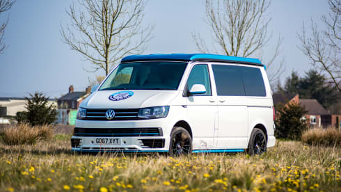 Bob – White & Blue Ormskirk