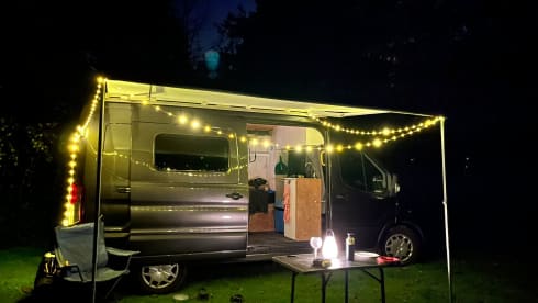 Fonzie – 2p Ford bus uit 2020