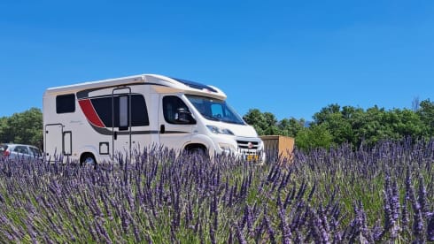 2p Fiat semi-integrated uit 2015
