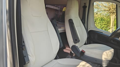 Vinny – 4-sitziger Fiat-Bus ab 2025