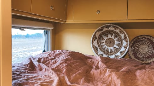 Miss Honey –  The most stylish family camper is looking for warm adventurers!