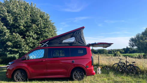 Jackie – Ford-Campingbus für 4 Personen ab 2025