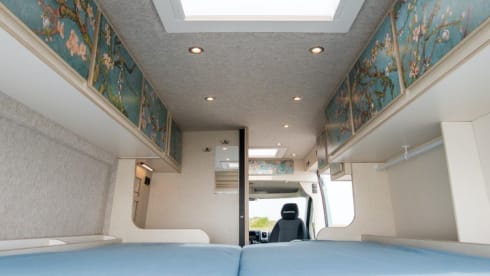 Bloesem – 4p Fiat bus uit 2022