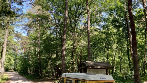 Ga op duurzame roadtrip met Calandria! ⚡️🚐 – 100% Electric! ⚡️ VW T2 "Calandria"