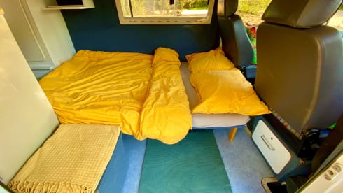 Arnold Mercedes 208D