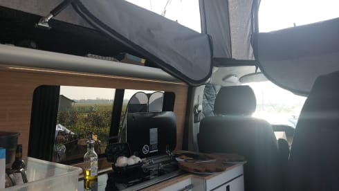 Alegria – 4p Volkswagen campervan from 2018