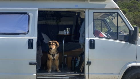 Fritsy – 2p Fiat bus uit 1991