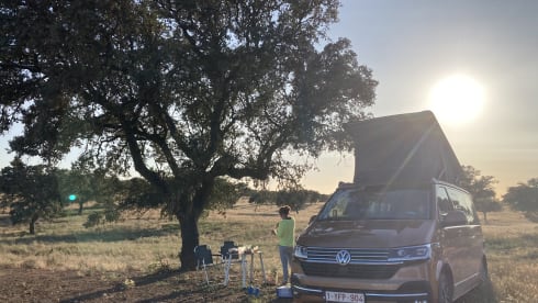Copper Bronze – VW California Ocean T6.1