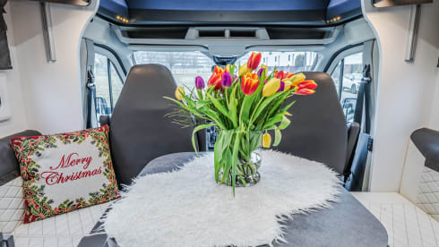 Schöner Ford-Teilintegrator