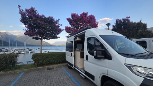 Ragnar – Votre camping-car confortable avec des lits transversaux spacieux et un look naturel !