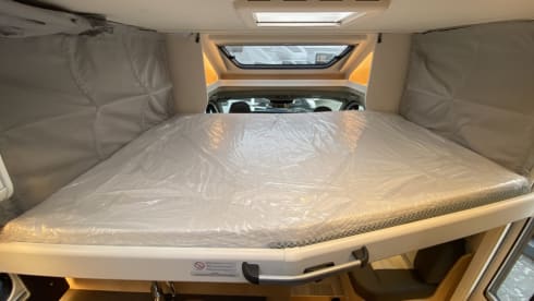 T67/24 – Brand new Sunlight T67/24