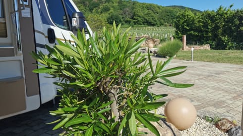 "Flieger" – Semi-integrated top mobile home Euramobil Profila RS ****