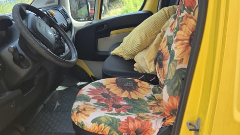 De Gele Rakker – Peugeot-Bus mit 2 Sitzen aus dem Jahr 2015