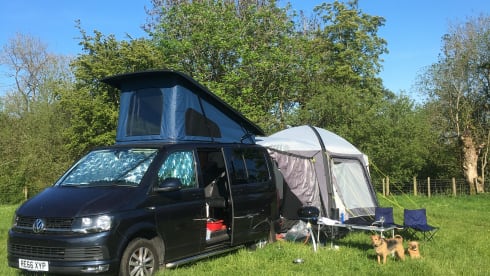 4 berth Volkswagen campervan 2016 6 speed, unique wooden interior