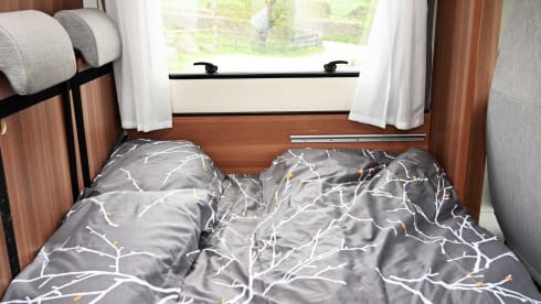 Sycamore – are you ready to explore!