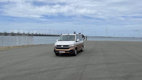 BATmobiel :) – VW California T6.1 with parking heater