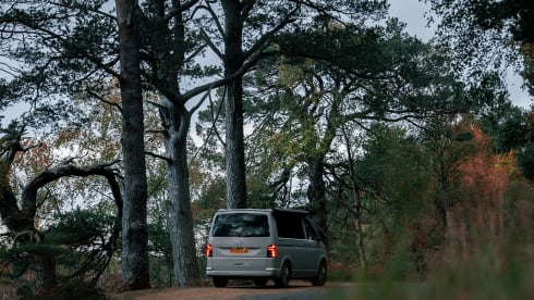Volkswagen California Ocean 3 ® - Skye