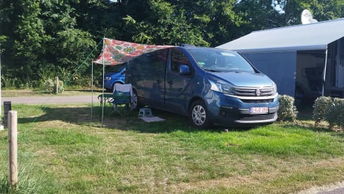 Ria – 2p Fiat campervan uit 2017