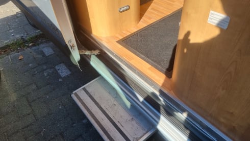 Fiat Ducato benimar. Benivan 145 – 2p Fiat bus uit 2010