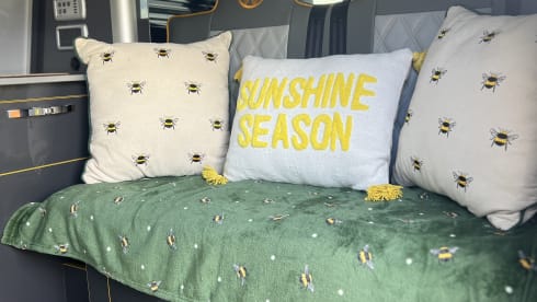 Bumble – 2 berth + 2 kids Volkswagen T6 campervan from 2016