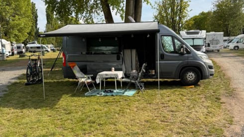 2p Fiat bus from 2024
