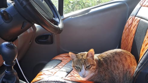 Vinnie – 1 couchage Autre camping-car à partir de 2012