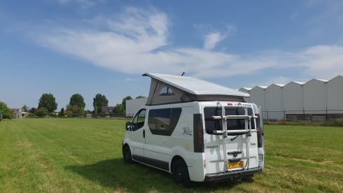 Adria 3 way – Adrian 3 way