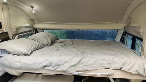 4p McLouis integrato dal 2015