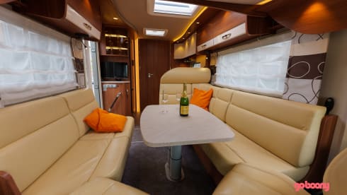 Frankia integral I65 Exclusive